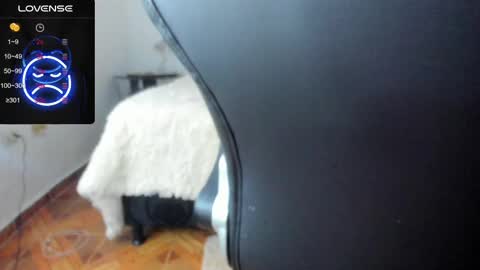 IM BAILEY online show from February 2025 05:47:01 AM