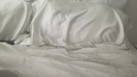 bambidxon online show from February 2026 02:24:01 PM