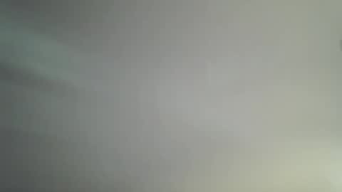 Bambi online show from April 2026 11:16:01 AM