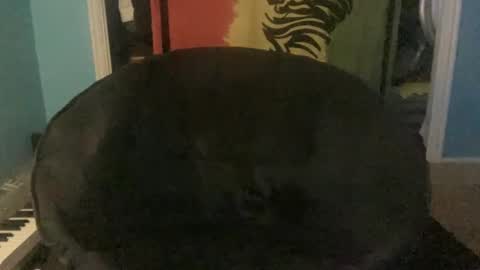 bananaboy420720 online show from September 2025 06:14:01 AM