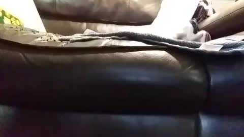 baobabtree8 online show from January 2025 01:45:02 PM