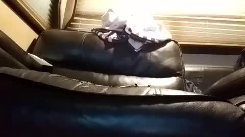 baobabtree8 online show from January 2025 01:06:02 PM