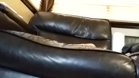 baobabtree8 online show from March 2025 02:29:02 PM