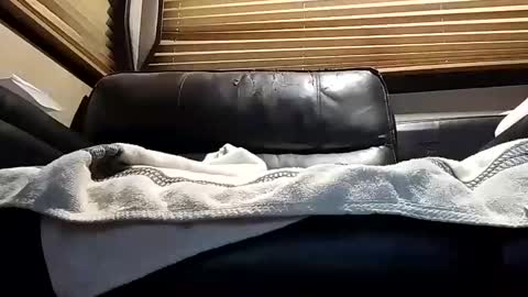 baobabtree8 online show from October 2025 12:14:02 PM