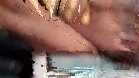 baobabtree8 online show from October 2025 02:17:02 PM