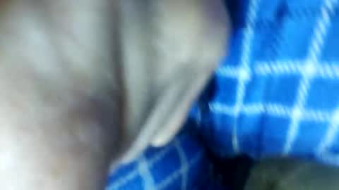 barbitall online show from November 2025 03:08:02 PM