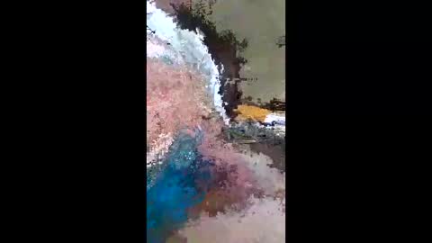 barbitall online show from January 2026 08:03:02 PM