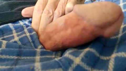 barbitall online show from February 2026 04:23:01 PM