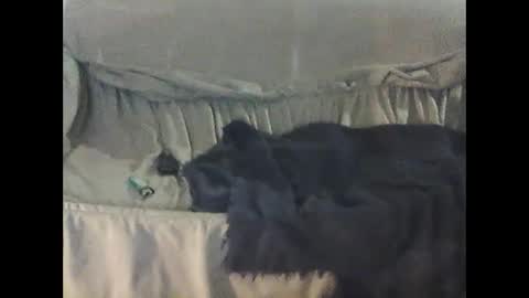 barrysand online show from September 2025 02:14:01 AM