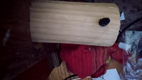 bartender3127 online show from December 2024 03:33:01 PM