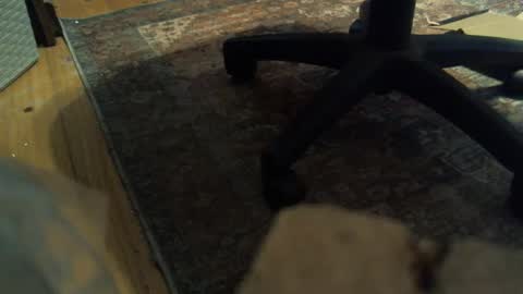 bartender3127 online show from January 2025 04:18:01 PM