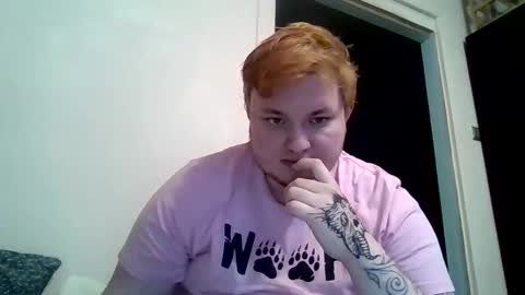 BartTheBear online show from February 2026 07:51:01 PM