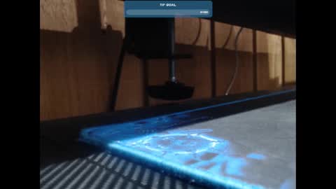 Ricky online show from January 2025 02:28:02 PM