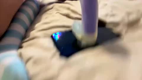 bathingcat online show from November 2025 09:55:02 AM