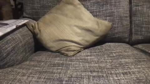 baykiwi54 online show from December 2024 08:45:02 AM