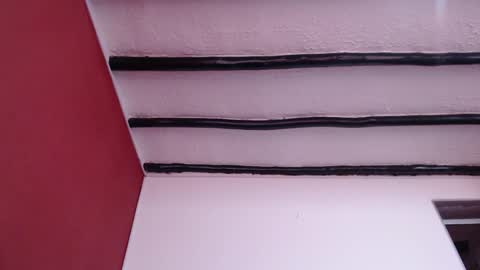 bayonette_black online show from December 2024 11:40:02 AM