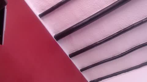 bayonette_black online show from December 2024 11:23:02 AM