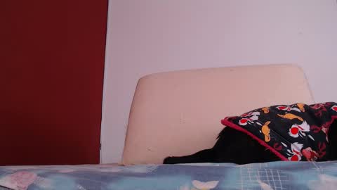 bayonette_black online show from September 2025 12:09:02 PM