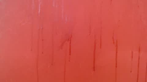 bayonette_black online show from November 2025 07:16:02 PM