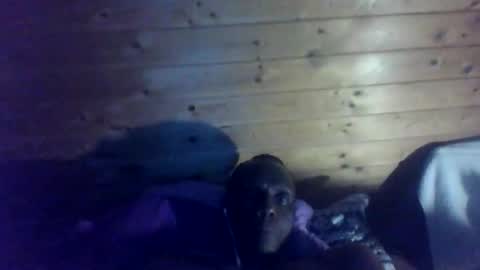 bbcmasterxl online show from December 2025 01:02:02 AM