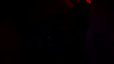 bcoooolo4u online show from February 2025 03:08:01 PM