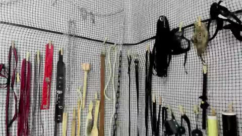 Meduza  online show from February 2026 06:26:01 AM