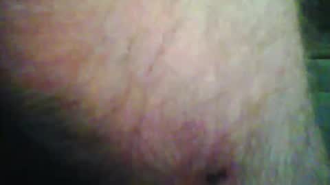 beanwright26 online show from November 2025 09:39:01 AM