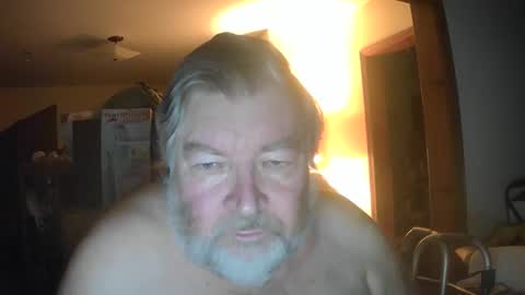bear online show from May 2026 07:28:02 AM