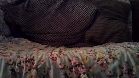 Snapshot of beatlebut chatting on October 2025 03:18:02 AM beatlebut online show from October 2025 03:18:02 AM