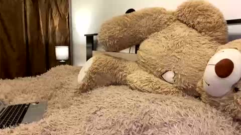 Snapshot of beautifulnik chatting on March 2026 07:55:02 PM Nik online show from March 2026 07:55:02 PM