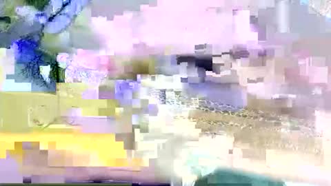 beencee2 online show from March 2026 05:22:01 AM