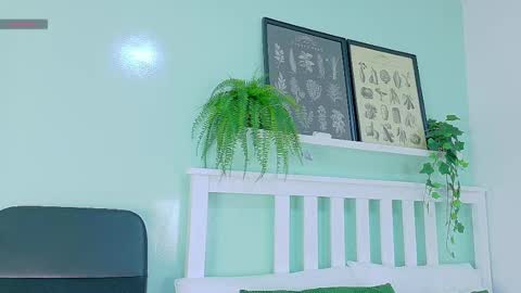 BELA online show from October 2025 11:40:01 AM