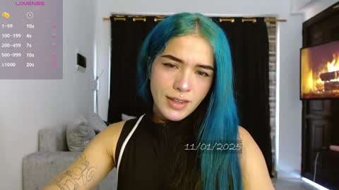   online show from January 2025 05:07:02 PM