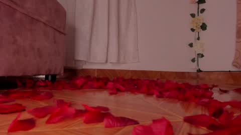 Dessi  online show from February 2025 12:17:01 AM