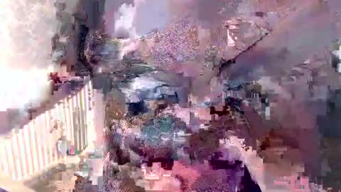      online show from December 2024 08:11:02 AM