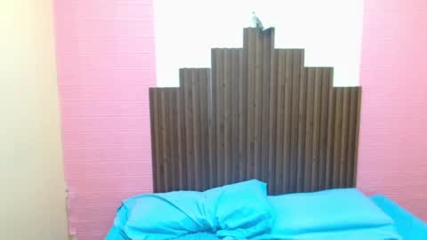 im Bella online show from November 2025 03:15:02 PM