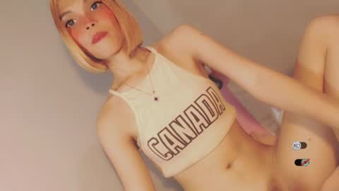 Bella online show from December 2024 07:33:02 AM