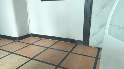 Snapshot of bellapazzia13 chatting on December 2024 01:51:02 PM online show from December 2024 01:51:02 PM