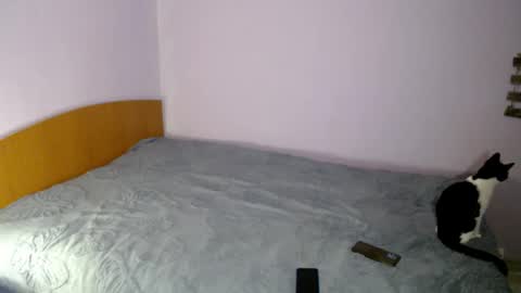 bellaqueen0701 online show from March 2025 05:33:01 PM