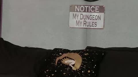 Bellaskeykeeper online show from February 2026 08:37:01 AM