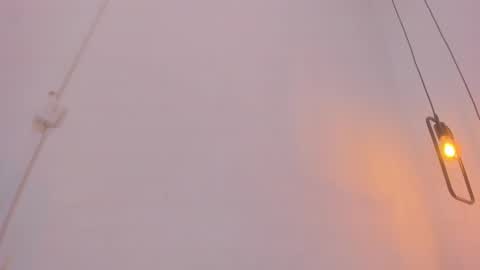 Bellota Flak online show from December 2024 08:26:02 AM