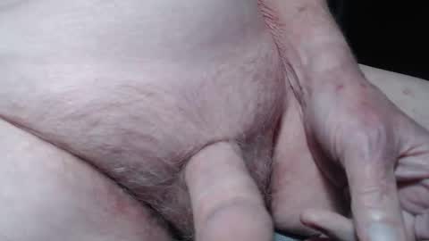 bender41 online show from October 2025 04:11:01 AM