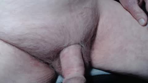 bender41 online show from November 2025 05:29:02 AM