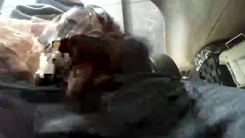 beninoam75 online show from January 2026 07:33:02 AM