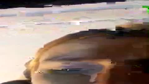 Snapshot of beverlyfoxx chatting on July 2026 10:58:01 PM beverlyfoxx online show from July 2026 10:58:01 PM