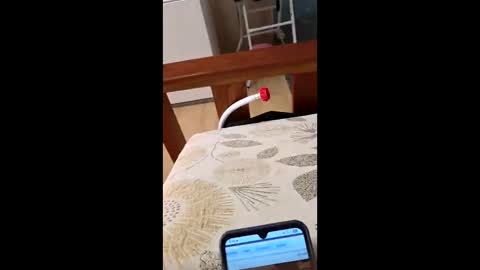 Snapshot of bf2506 chatting on February 2026 04:18:02 AM bf2506 online show from February 2026 04:18:02 AM