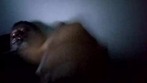 bi582945 online show from February 2026 10:34:02 AM