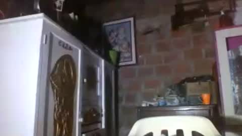 Stiven Leon online show from July 2026 09:28:01 AM
