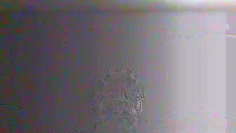 bigalnoone online show from March 2026 10:04:02 PM