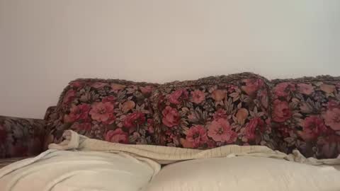 Cum247365 online show from February 2026 03:31:01 PM